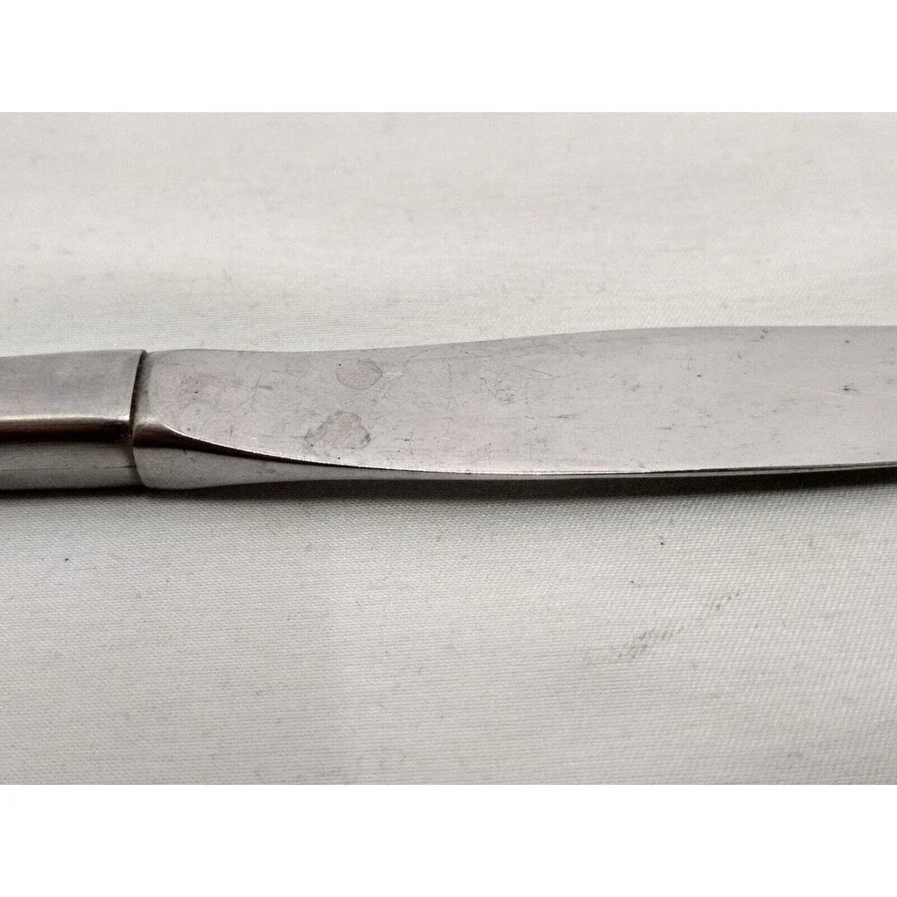 VINTAGE Oneida Silver Twilight Rose Modern Hollow Knives Set of 6 (Made in USA)